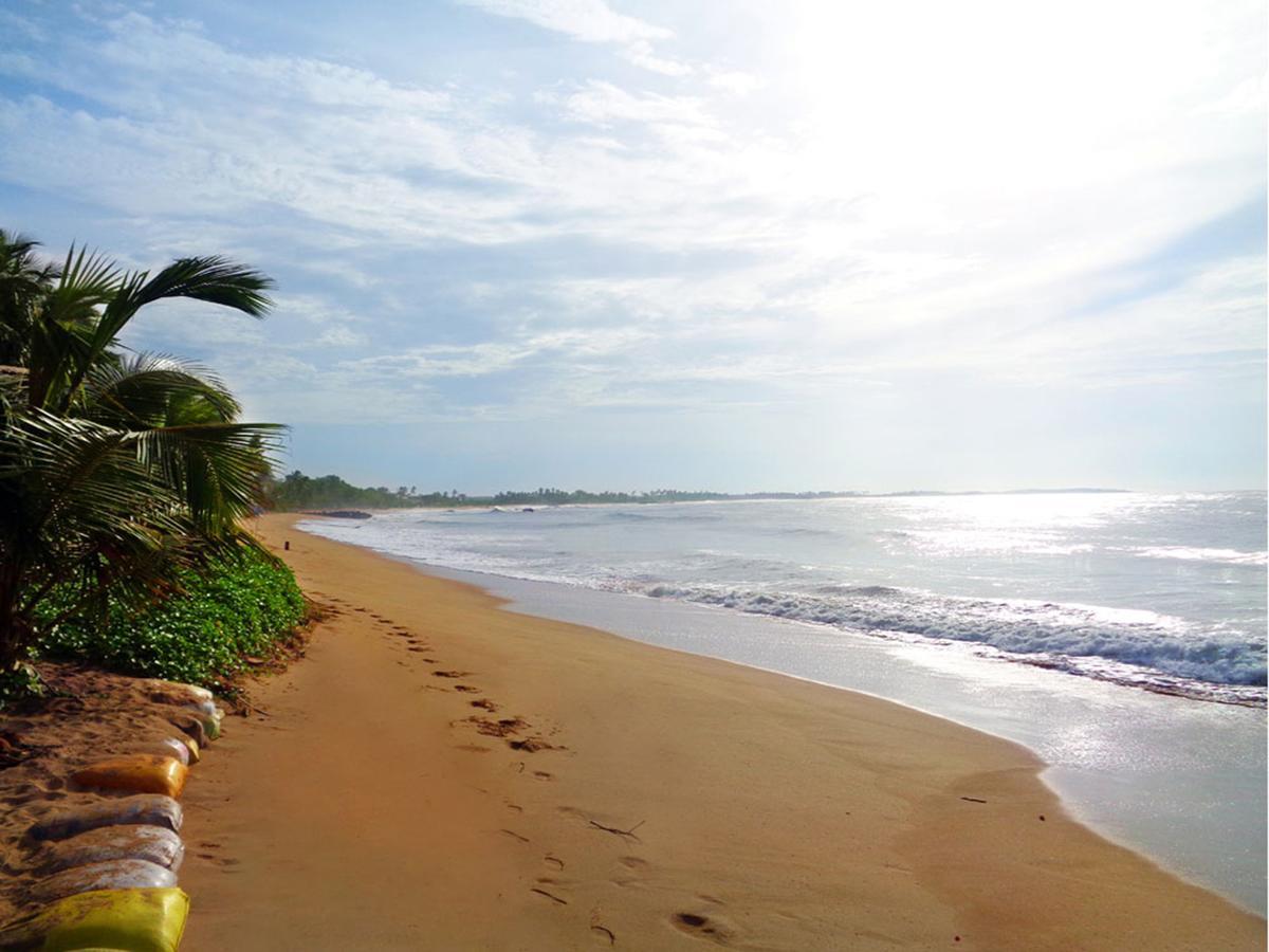 Reggae Zone Beach Resort Tangalle Ngoại thất bức ảnh