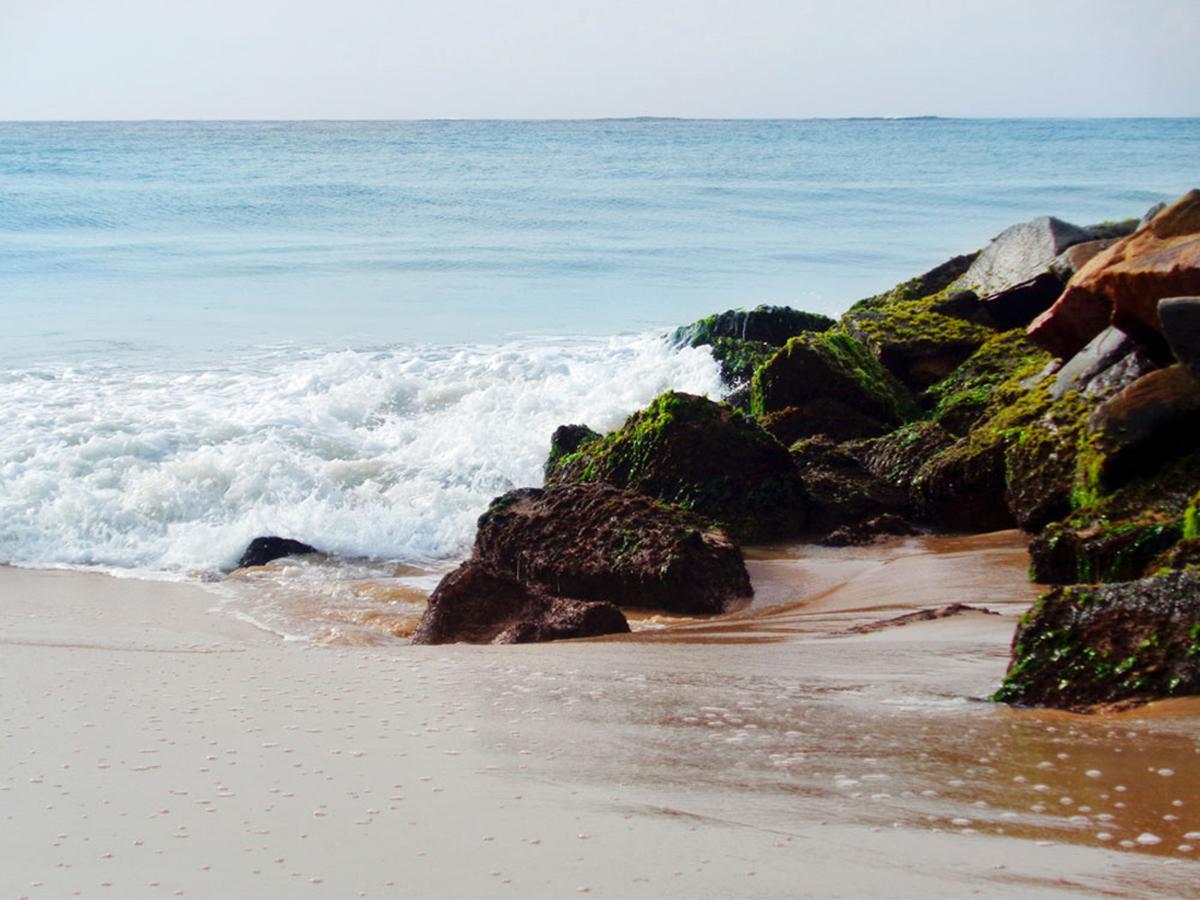 Reggae Zone Beach Resort Tangalle Ngoại thất bức ảnh